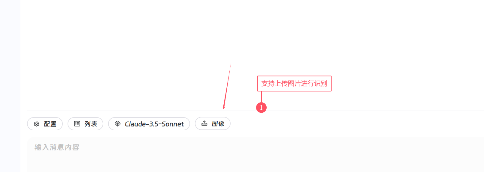 仅支持图片的模型